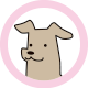 犬