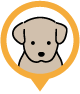犬